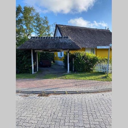 Ferienhaus Butterblume Südbrookmerland エクステリア 写真