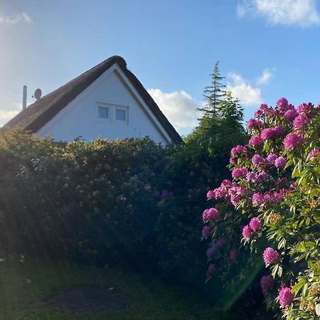 Ferienhaus Butterblume Südbrookmerland エクステリア 写真