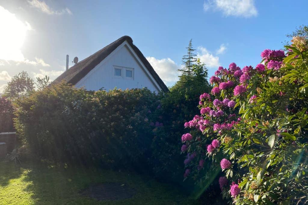 Ferienhaus Butterblume Südbrookmerland エクステリア 写真